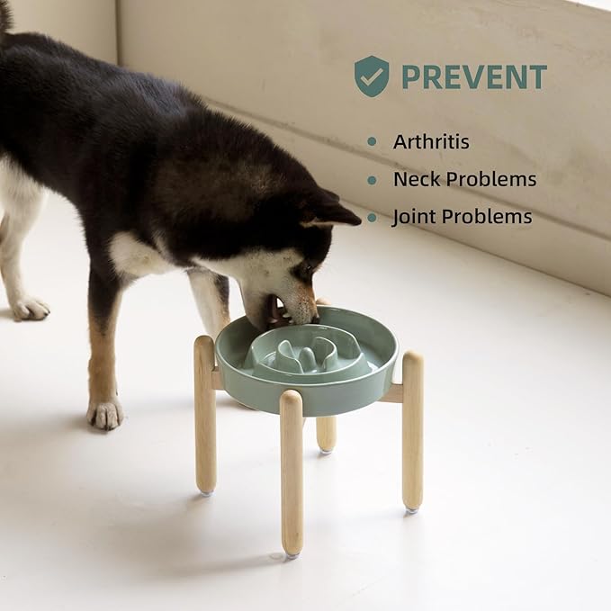 Ceramic 1.6 Cup Raised Slow Feeder Dog Bowl Set, Elevated Wooden Stand for Medium and Large Dog, 8.2inch Puzzle Slow Dish, Anti-Gulping(Light Green, Single Bowl+ Stand)