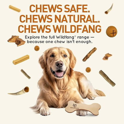 Wildfang® Leather Dog Toy, Small - Leather Bone for Teething Dog, Dental Toys for Puppies, Training for Chewing Muscles, Puppy Chew Bones for Light or Medium Chewers (for Dogs Under 22 lbs), Pack of 1