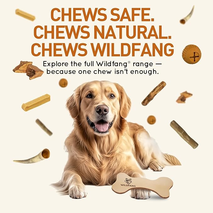 Wildfang® Leather Dog Toy, Medium - Leather Bone for Teething Dog, Dental Toys for Puppies, Training for Chewing Muscles, Puppy Chew Bones for Light or Medium Chewers (for Dogs 22-33 lbs), Pack of 1