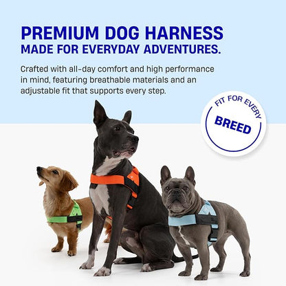 DF Co. Dog Harness | Chafe Resistant Webbing, Adjustable Neck & Chest, and Heavy Duty D-Ring | Sturdy, Comfortable, Easy to Use | Sky Blue, Size XS