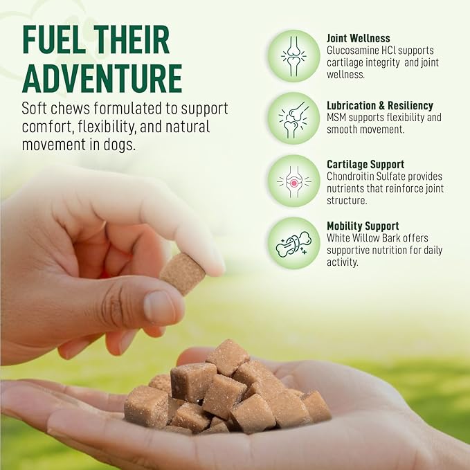 120 Chews Hip and Joint Supplement for Dogs - Glucosamine, Chondroitin & MSM,Arthritis Pain Relief Dog Joint Supplement - Mobility, Flexibility & Cartilage Support- Becon Flavour