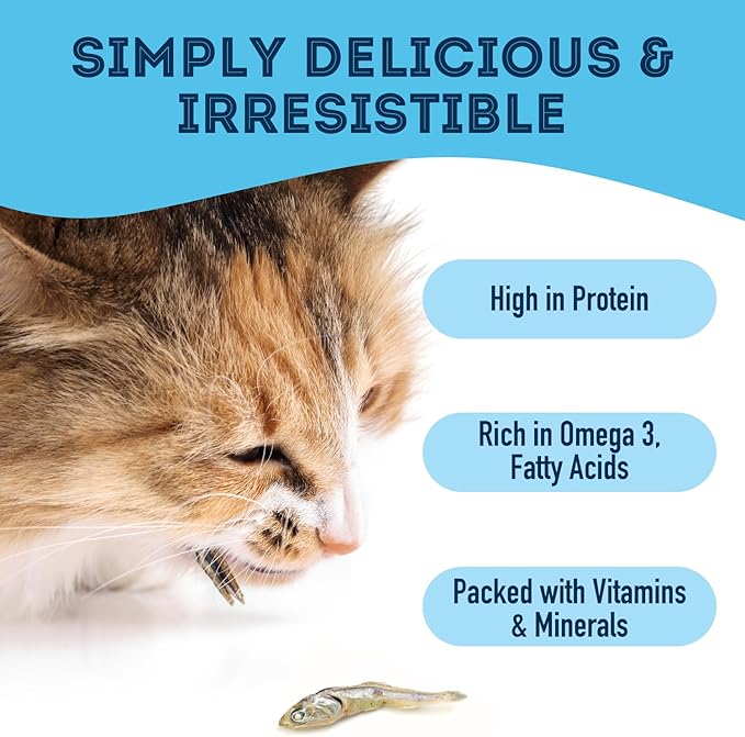 The Granville Island Pet Treatery Sardines for Dogs & Sardines for Cats (14.11 oz, Pack of 1) - Dehydrated Single Ingredient Dog Treats - All Natural Dog Treats, Grain Free – Puppy Training Treats