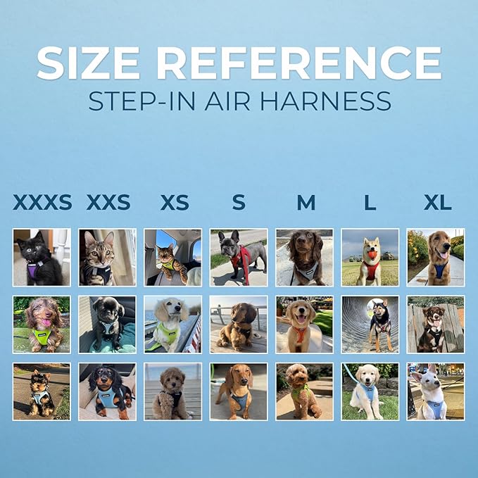 Best Pet Supplies Voyager Step-in Air Harness - All Weather Mesh, Reflective, No Pull Harness for Dogs, Cats - Secure with Hook & Loop Fastener, Buckle, Double D-Rings - Army/Black Trim, XL