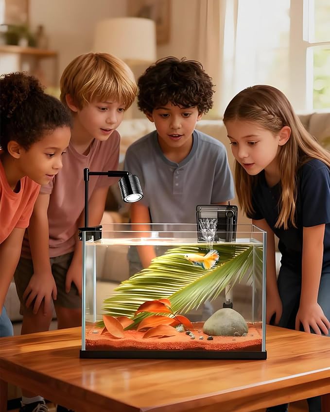 iPriro Fish Tank, 3 Gallon Ultra-Clear Glass Fish Aquarium, with Separator Plate for Betta, Fish Tank Starter kit with Filter and Adjustable Led Light, White