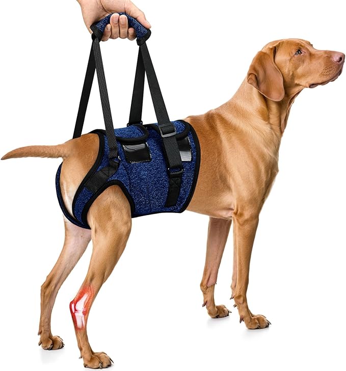 SlowTon Dog Lift Harness - Adjustable Dog Sling for Medium Large Dogs, Hind Leg Support to Help Rehabilitate, Soft Padded Dog Support Harness for Elderly, Injured, Arthritic, Disabled Dogs(BL,S)
