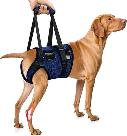 SlowTon Dog Lift Harness - Adjustable Dog Sling for Medium Large Dogs, Hind Leg Support to Help Rehabilitate, Soft Padded Dog Support Harness for Elderly, Injured, Arthritic, Disabled Dogs(BL,S)