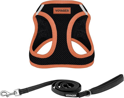 Voyager Step-in Air All Weather Mesh Harness and Reflective Dog 5 ft Leash Combo with Neoprene Handle, for Small, Medium and Large Breed Puppies by Best Pet Supplies - Black/Orange Trim, X-Small