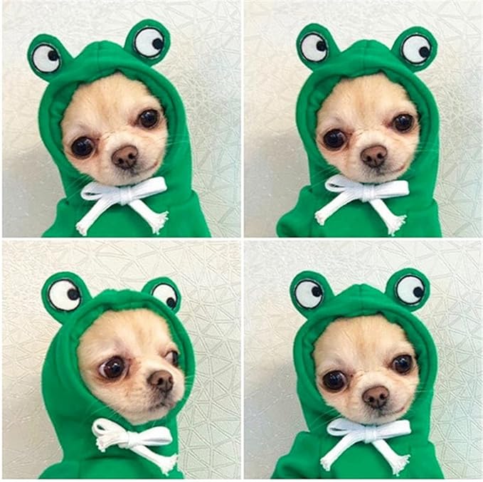 Warm Dog Winter Clothes Cute Fruit Dog Coat Hoodies Fleece Pet Dogs Costume Jacket for French Bulldog Chihuahua Ropa para Perro(Green,XXL)