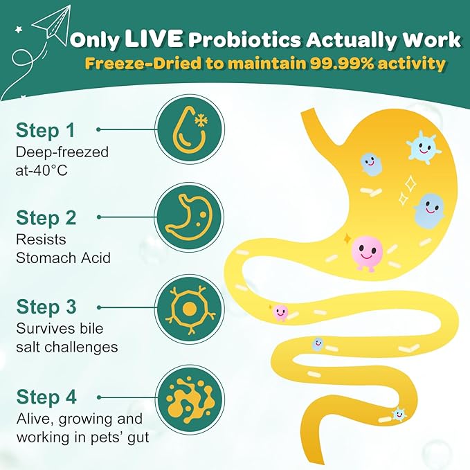 Probiotics for Dogs, Dog Probiotics with Digestive Enzymes, Prebiotics, Omega-3 & 6 and Vitamin for Dogs Digestive Health, 6 Billion CFUs for Gut Health and Immune Support, 180 Freeze-Dried Chews