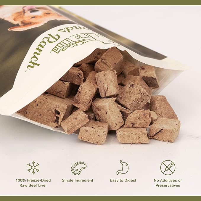 BADLANDS RANCH - Superfood Bite, Freeze-Dried Raw Dog Treats - Protein Rich, Train & Reward, Traceable Single Ingredient by Katherine Heigl (Beef Liver)