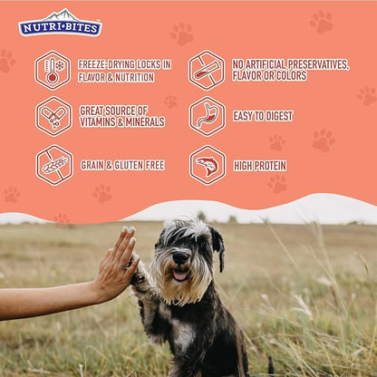 Nutri Bites Freeze Dried Salmon Dog & Cat Treats 4 oz | Healthy Pet Training Treats or Food Topper | All Natural, 1 Single Animal Protein, High Protein