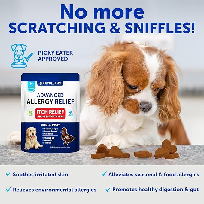 Dog Allergy Relief Chews - Itching Skin Relief for Dogs - Fish Oil - Omega 3 - Seasonal Allergies Pills - Skin & Coat, Anti Itch, Hot Spots Treatment - Canine Immune Health Supplement - 70 Soft Treats