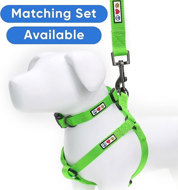 Pawtitas Personalized Dog & Puppy Harness Extra Small Green Custom ID Tag Adjustable No Pull Vest