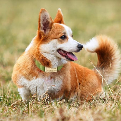 Personalized Velvet Dog Collars with Pet Name Phone Number Engraved, Custom Adjustable Soft Collar with Metal Buckle for Small Medium Large Dogs, Dog Leash and Bow Tie Available -Green