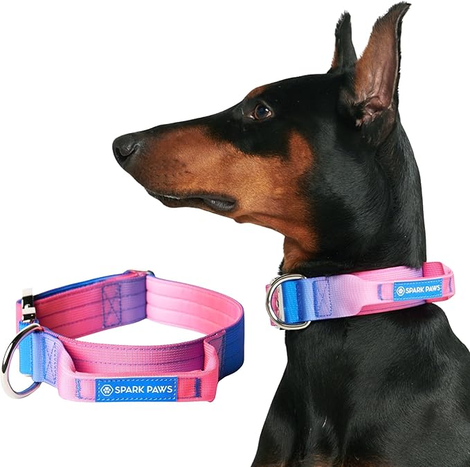 Spark Paws Tactical Dog Collar with Handle - Premium Quality Collar, Robust and Durable Design for Large, Strong Breeds - Pitbulls, Labradors, GSD - Snow Cone - S - 1.5"