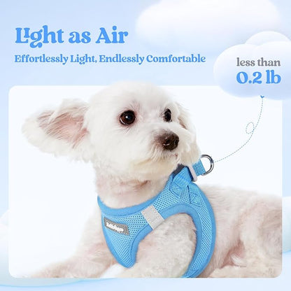 rabbitgoo Dog Harness Small Sized and Leash Set, Step in Soft Light Puppy Vest, Breathable Mesh Pet Harness, Reflective for Safe Easy Walking, Blue XS
