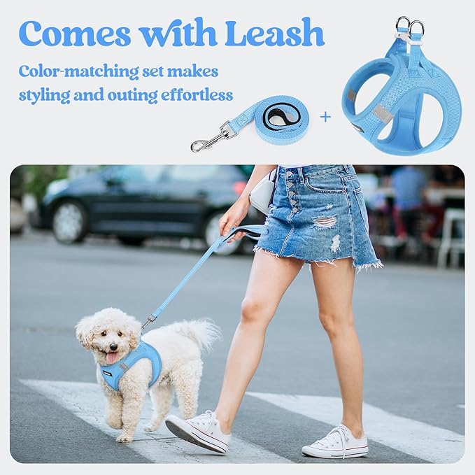 rabbitgoo Dog Harness Small Sized and Leash Set, Step in Soft Light Puppy Vest, Breathable Mesh Pet Harness, Reflective for Safe Easy Walking, Blue XS