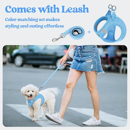 rabbitgoo Dog Harness Small Sized and Leash Set, Step in Soft Light Puppy Vest, Breathable Mesh Pet Harness, Reflective for Safe Easy Walking, Blue XS