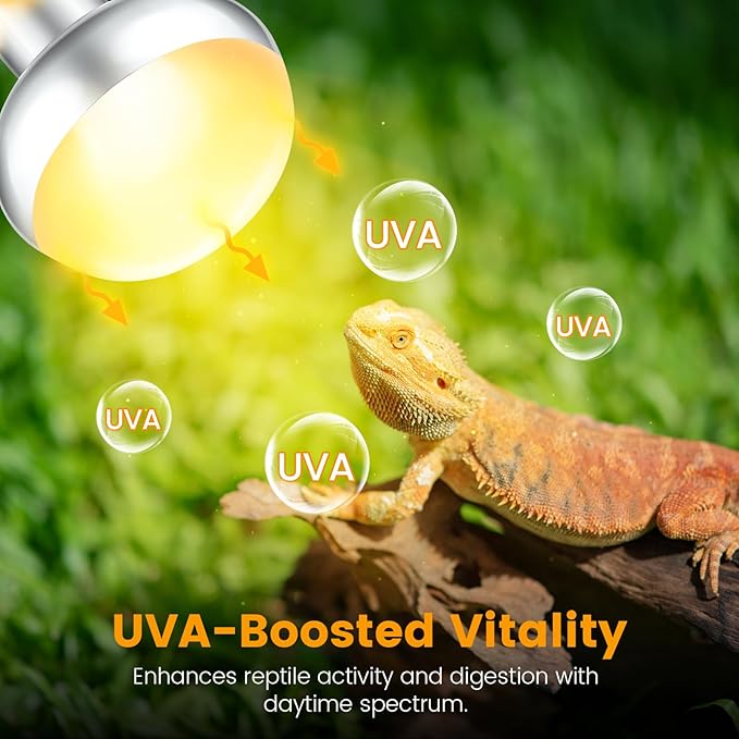 Dual Reptile Light Fixture with 100W Daytime Heat & UVB 10.0 Reptile Bulb, 2 Independent Switches, Reptile UVA UVB Heat Combo Pack