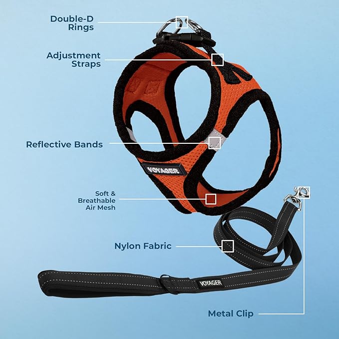 Voyager Step-in Air All Weather Mesh Harness and Reflective Dog 5 ft Leash Combo with Neoprene Handle, for Small, Medium and Large Breed Puppies by Best Pet Supplies - Orange/Black Trim, Small