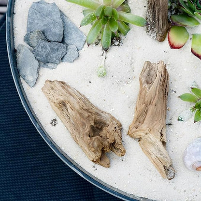 5 lbs Aquarium White Sand, 0.8-2 mm Mini Aquarium Gravel. Coarse Sand for Fish Tank, Paintings, Succulent Plants Potted, Fire Pits, Candle, Vase Filler and Crafts