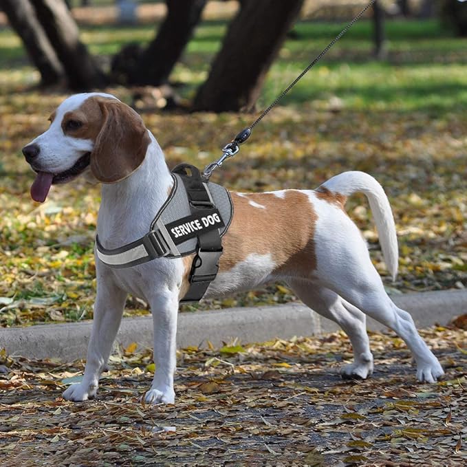 JSXD Dog Harness,No-Pull Service Dog Harness with Handle Adjustable Outdoor Pet Dog Vest 7M Reflective Nylon Material Vest for Breeds,Easy Control for Small Medium Large Dogs