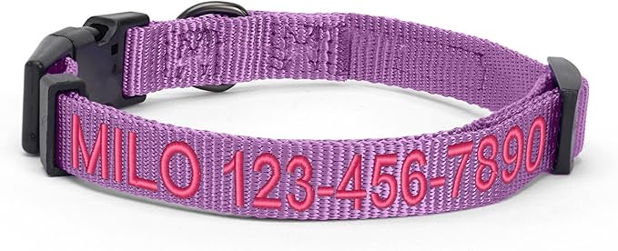 Pawtitas Personalized Dog Collar Small Dog Collar Embroider with Name Phone Number Puppy Collar Adjustable Customized Collar for Small Dogs Breeds Puppy Purple Dog Collar