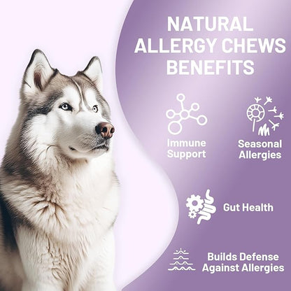 Noble Beast Dog Immune & Allergy Supplement - Itch Relief - Probiotics for Dogs - Skin & Seasonal Allergies - All Natural - Soft Chews with Hemp and Colostrum - Chicken Flavor - 120 Count