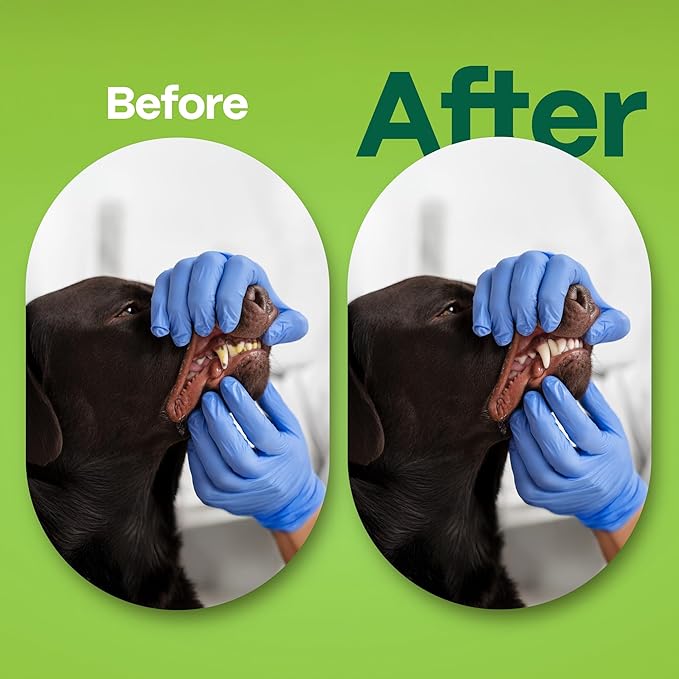 DOCO Dog Teeth Cleaning Wipes Dental Finger Wipes for Cats & Dogs Remove Plaque & Tartar, Freshen Breath, No Rinse, Effective Pet Tooth Cleaning Kit for Oral Care (Grapefruit Flavour, 100 Count)