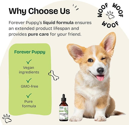 Forever Puppy Astragalus Root Drops for Dogs - Astragalus Membranaceus Extract for Dogs' Immune Support - Herbal Pet Liquid Supplements for Immunity & Joyful Pet Care - 4 oz