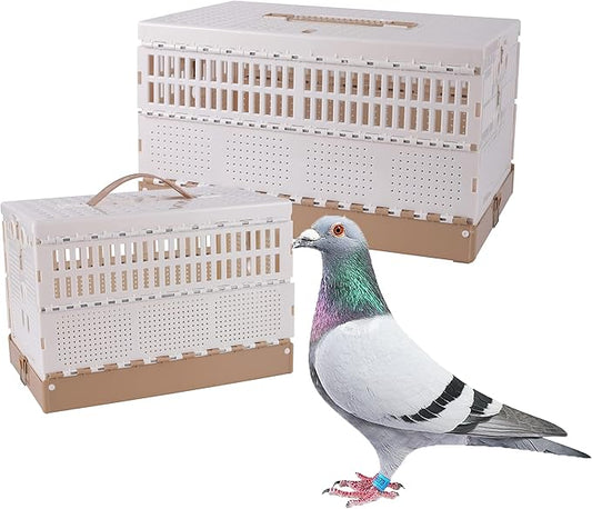 Plastic Foldable Pigeon Cage with Handle, Portable Bird Travel Carrier Cage Pigeon Cage Pairing Cage Pigeon Nest Box Easy to Clean for Training and Release Competition(M)(Three Doors)