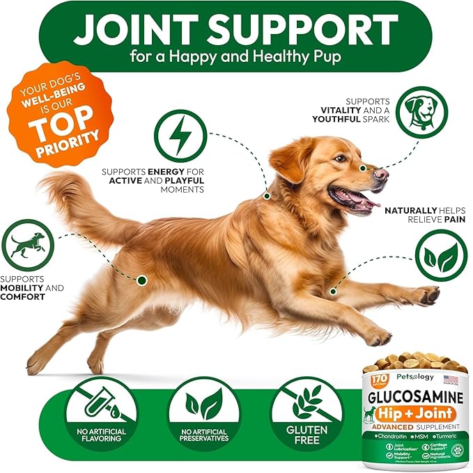 (2 Pack) Glucosamine for Dogs - 340 Mobility Chews - Advanced Hip and Joint Supplement for Dogs - Glucosamine Chondroitin - MSM - Joint Pain Relief