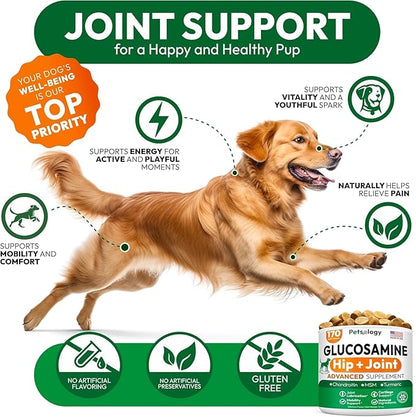 (2 Pack) Glucosamine for Dogs - 340 Mobility Chews - Advanced Hip and Joint Supplement for Dogs - Glucosamine Chondroitin - MSM - Joint Pain Relief