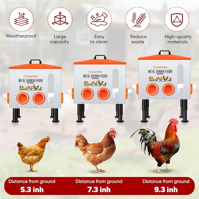 GADFISH 55LBS Large Capacity Automatic Chicken Feeder - Upgraded Window Design Allows Viewing of Feed Conditions, 8 Feeding Ports, Anti-Waste Design, Height-Adjustable Legs & Secure