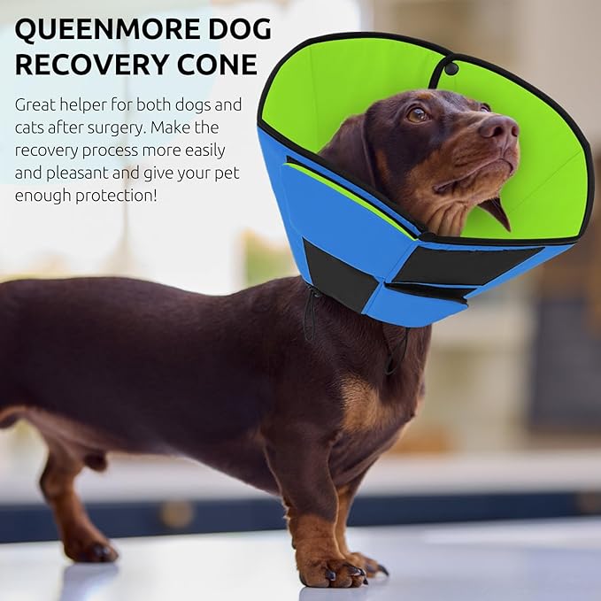 Queenmore Dog Cone XL, Soft Dog Cones for Large Dogs After Surgery, Cone for Dogs to Stop Licking, Elizabethan Collar for Pet, Alternative to Recovery Collar for Large Breeds, Blue&Green XL