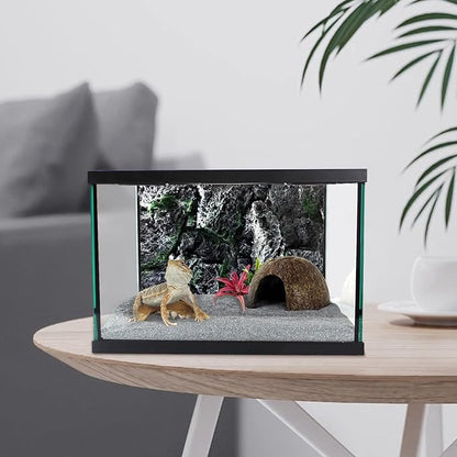 waazoorep Reptile Glass Terrarium Tank 12 * 12 * 8" Full View with Top Ventilation, Amphibians Box Habitat Enclosure Cage for Frog,Spiders,Dubia Cockroach,Praying Mantis,Cricket,Tarantula,Hermit Crab