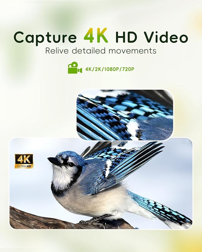 Hibird 4K HD Smart Bird Feeder with Camera, 2.4G/5G Dual WiFi Wireless Outdoor, Auto Higher Resolution Bird Video Capture, AI Identify 10000+ Species, 1080P Live Function for Everyone