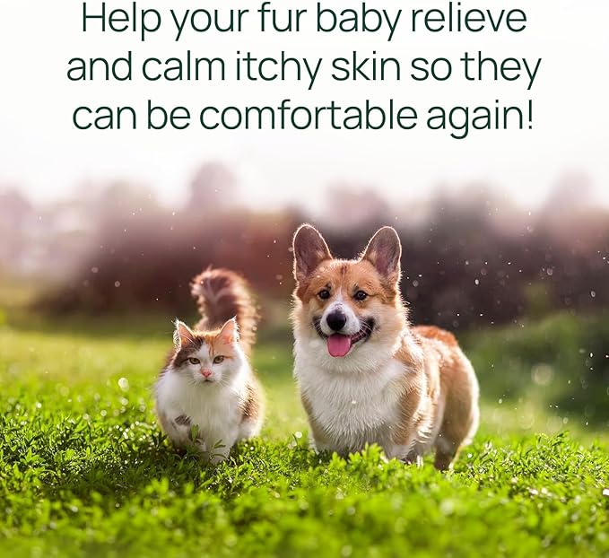 pawTree Natural Allergy Support Plus for Dogs-Ideal for Itching, Irritated Skin, Seasonal and Food Allergies, Hot Spots. Supplement Your pet Will Love. Small Chews for Pets - 60 Count (Small)