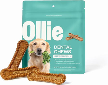 Ollie Dental Chews for Large Dogs, 12 Oz, Fresh Breath, Teeth Cleaning Treats, Sticks for Dog Oral Care, with Parsley and Cinnimon, for Pups 51 lbs and Above