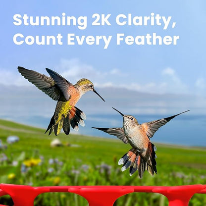 Birdfy Hummingbird Feeder with Dual Cameras - 2K HD Smart Cameras Solar Powered, Close-Up Bird Video/Live Watching & Instant Notifications, Ant Moat & Leakproof - 20oz