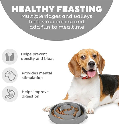 Outward Hound Medium Slow Feeder Bowl, Puzzle Maze for Fast Eaters, Small to Medium Dogs, Helps Prevent Bloat & Aid Digestion, Holds 2 Cups Wet or Dry Food, Non-Slip, Made Without BPA, Gray