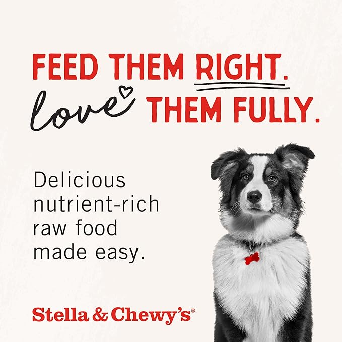 Stella & Chewy's Freeze-Dried Raw Beef Meal Mixers- Dog Food Topper and Mixer - Made with 95% Grass-Fed Beef, Organs & Bone - Perfect for Picky Eaters - Grain-Free - 1 oz (Pack of 2)
