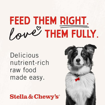 Stella & Chewy's Freeze-Dried Raw Beef Meal Mixers- Dog Food Topper and Mixer - Made with 95% Grass-Fed Beef, Organs & Bone - Perfect for Picky Eaters - Grain-Free - 1 oz (Pack of 2)
