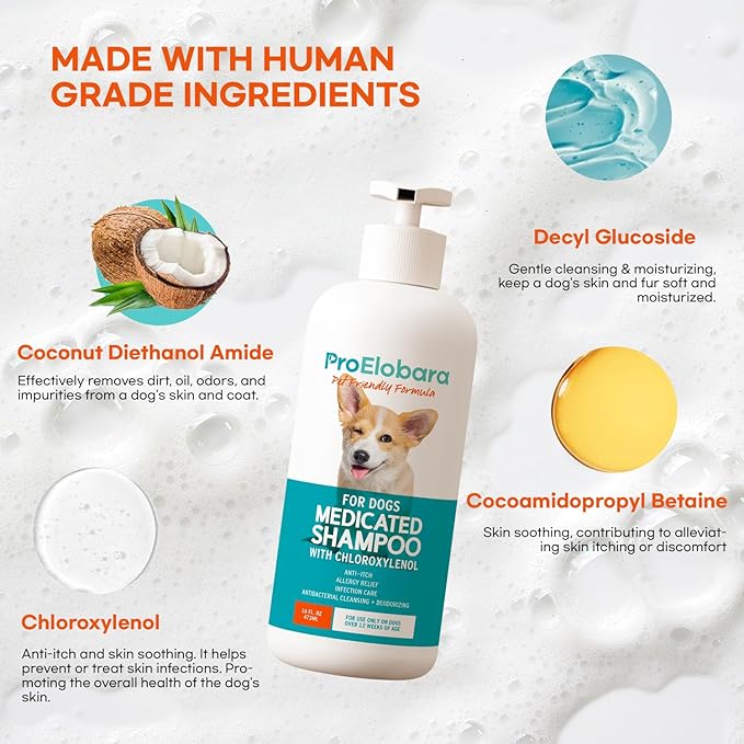 Medicated Dog Shampoo for Itchy Relief: Yeast Skin Infections and Bacterial Treatment for Dogs - Helps Hot Spots, Deodorizing, Allergy Relief - Healthy Skin & Coat - Antifungal Dog Shampoo 16 oz