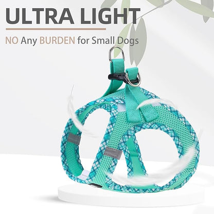 PUPTECK Dog Harness and Leash Set for Small Medium Dogs No Pull Step-in Soft Mesh Puppy Cat Vest Harnesses Reflective at Night, Green L