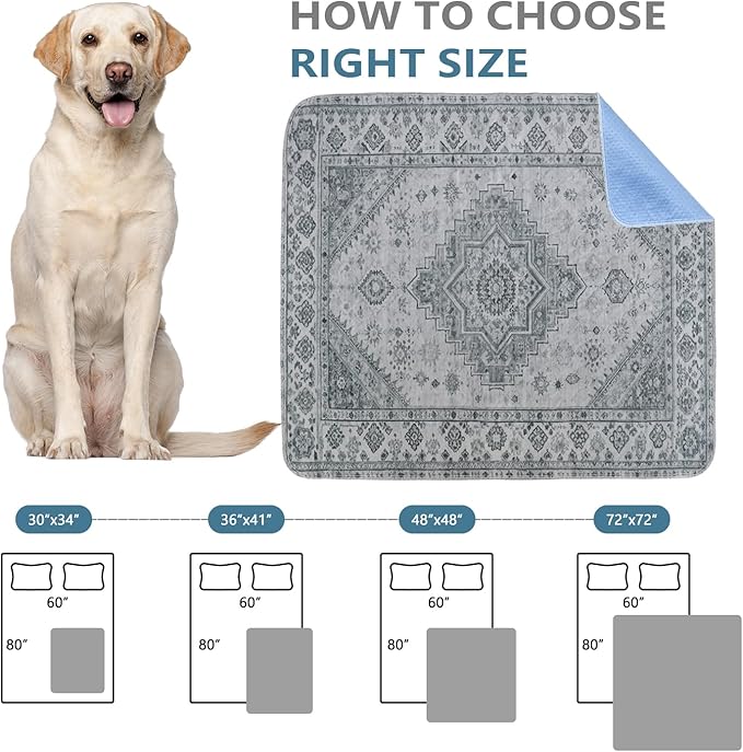 Qeils Washable Pee Pads, Reusable Puppy Pads Super Absorbent Leakproof Dog Training Pads, Non-Slip Wee Wee Pads for Crate, Floor, Potty Pads Feeding Mat Dog Pee 2 Pack 36"x41"