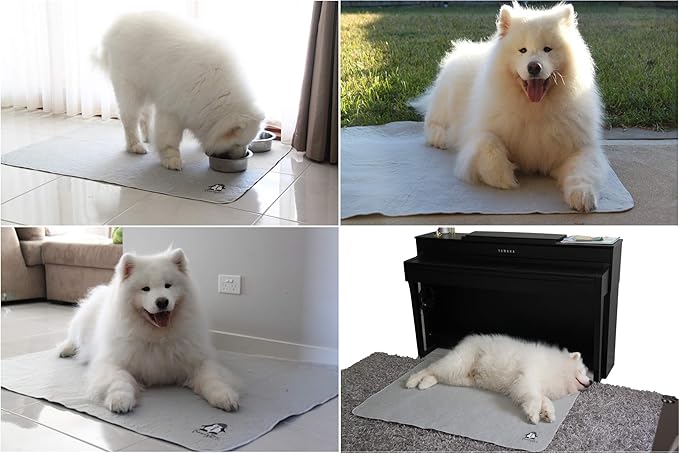 Washable Pee Pads for Dogs XXL (2 Pack), Reusable Puppy Training Pads, Ultra Absorbent & Waterproof Pet Mat for Senior Dogs, Non-Slip, Floor & Furniture Protector (36"x48") by Trendy Den Creations