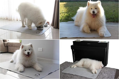 Washable Pee Pads for Dogs XXL (2 Pack), Reusable Puppy Training Pads, Ultra Absorbent & Waterproof Pet Mat for Senior Dogs, Non-Slip, Floor & Furniture Protector (36"x48") by Trendy Den Creations