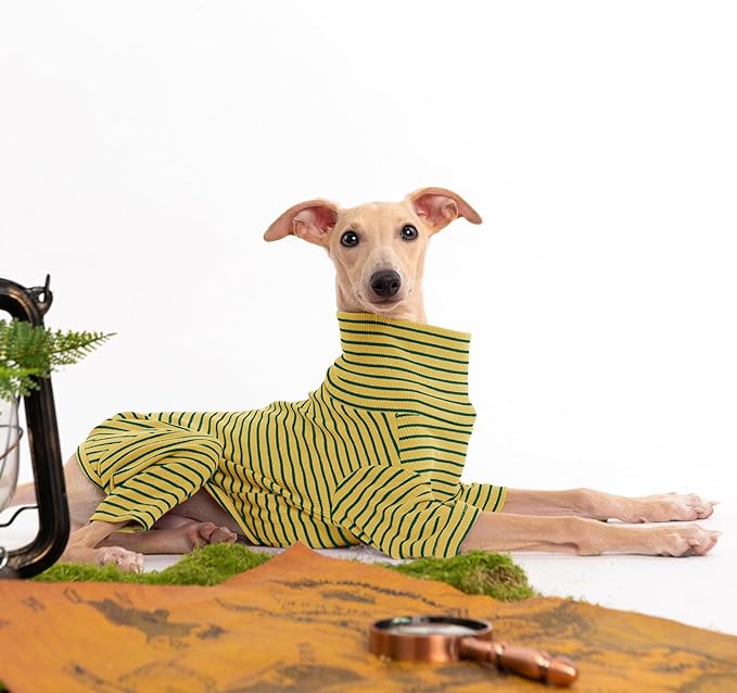 Dog Sweaters for Small Dogs Girls Boys, Striped Pet Sweaters for Fall Winter Dog Clothes, Turtleneck Pullover Knitwear for Small Medium Large Dogs