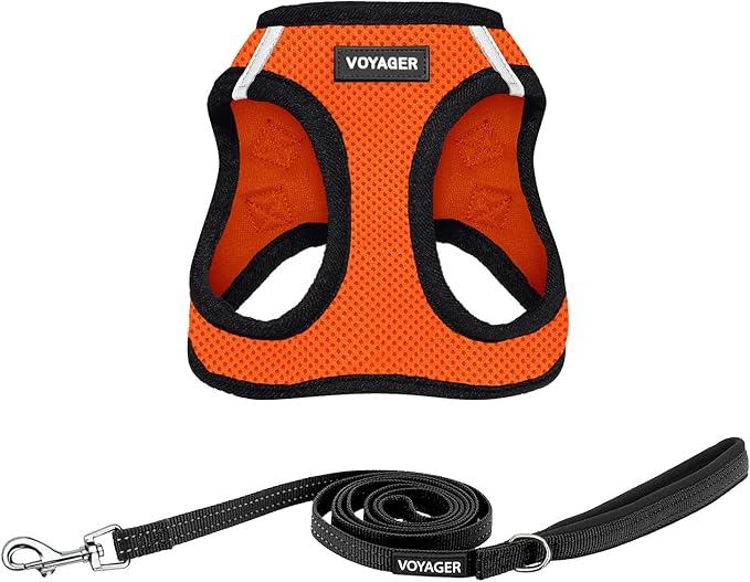 Voyager Step-in Air All Weather Mesh Harness and Reflective Dog 5 ft Leash Combo with Neoprene Handle, for Small, Medium and Large Breed Puppies by Best Pet Supplies - Orange/Black Trim, Medium